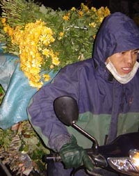 Ngày Tết đi chợ hoa đêm - 1