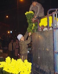 Ngày Tết đi chợ hoa đêm - 2