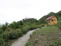 Đánh mất Mẫu Sơn - 2 Đánh mất Mẫu Sơn - 2