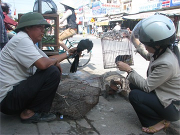 Buồn thương bìm bịp kêu chiều - 3