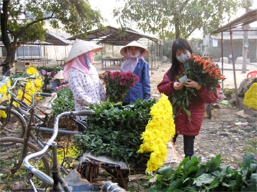 Chùm ảnh: Hoa 8/3 tại nơi "đầu nguồn" - 3