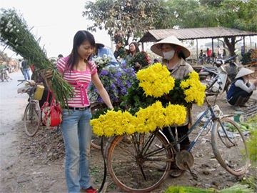 Chùm ảnh: Hoa 8/3 tại nơi "đầu nguồn" - 4