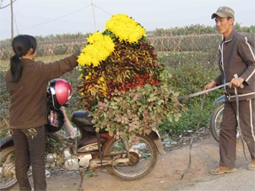 Chùm ảnh: Hoa 8/3 tại nơi "đầu nguồn" - 5