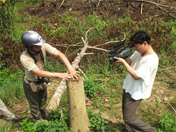 Chùm ảnh phá rừng đầu nguồn ở Nà Sáy - 4 Chùm ảnh phá rừng đầu nguồn ở Nà Sáy - 4