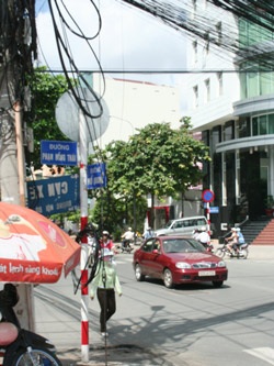 Hiểm họa từ “mạng nhện” mùa mưa - 1