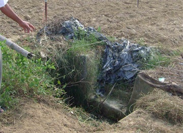 Về đâu dự án rau sạch “nuốt” tiền tỷ - 1