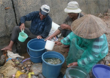 Ngư dân vịnh Đà Nẵng “lãnh đủ” vì ô nhiễm - 1