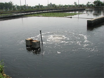 Thanh tra toàn diện hệ thống xả thải của Miwon - 1 Thanh tra toàn diện hệ thống xả thải của Miwon - 1