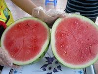 Cặp bưởi nặng 16 kg/trái giá 500.000 đồng - 1