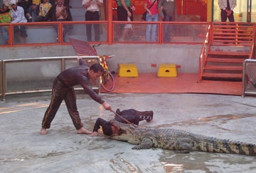 Một ngày, đêm trên đảo Tuần Châu - 1