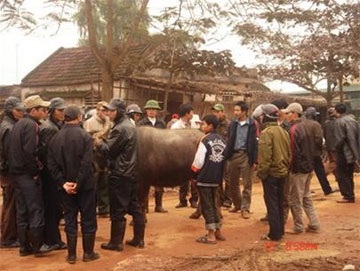 Năm Sửu kể 1001 chuyện về con trâu - 3 Năm Sửu kể 1001 chuyện về con trâu - 3