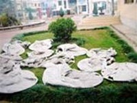 Đèn trời “hạ cánh” xuống kho xăng - 1 Đèn trời “hạ cánh” xuống kho xăng - 1