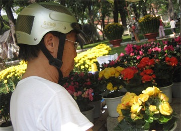 Hoa lạ đắt hàng, đào mai chờ phiên cuối - 2 Hoa lạ đắt hàng, đào mai chờ phiên cuối - 2