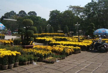 Hoa lạ đắt hàng, đào mai chờ phiên cuối - 1 Hoa lạ đắt hàng, đào mai chờ phiên cuối - 1