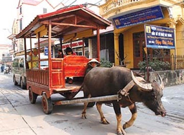 Năm Sửu kể 1001 chuyện về con trâu - 1 Năm Sửu kể 1001 chuyện về con trâu - 1