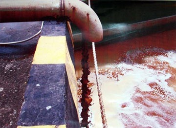 Vedan nộp trên 111 tỷ đồng truy thu phí bảo vệ môi trường - 1