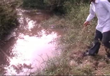 Chết hoa màu, hàng chục hộ dân khiếu kiện nhà máy cồn - 1 Chết hoa màu, hàng chục hộ dân khiếu kiện nhà máy cồn - 1