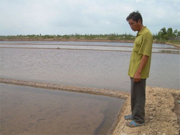 Giá muối tăng, diêm dân “bỗng dưng muốn khóc” - 1