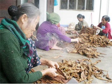 Làng đàn bà hút thuốc - 1