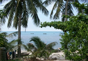 “Biến phòng ngủ thành phòng nghỉ” ở Cù Lao Chàm - 1 “Biến phòng ngủ thành phòng nghỉ” ở Cù Lao Chàm - 1