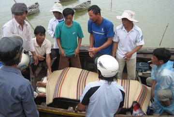 Đua ghe phong trào, một ngư dân đột tử - 1