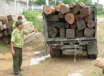 Truy tố các bị can vụ án phá rừng Khe Diên - 1 Truy tố các bị can vụ án phá rừng Khe Diên - 1