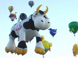 Chùm ảnh: Những khinh khí cầu ngộ nghĩnh - 5