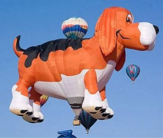 Chùm ảnh: Những khinh khí cầu ngộ nghĩnh - 10