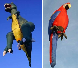 Chùm ảnh: Những khinh khí cầu ngộ nghĩnh - 12