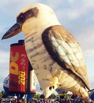 Chùm ảnh: Những khinh khí cầu ngộ nghĩnh - 14