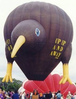 Chùm ảnh: Những khinh khí cầu ngộ nghĩnh - 15
