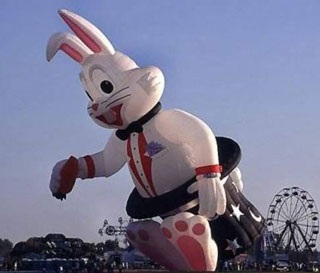 Chùm ảnh: Những khinh khí cầu ngộ nghĩnh - 16