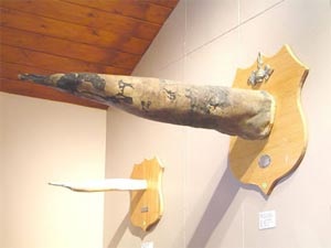 Những bảo tàng kỳ quặc nhất thế giới - 6