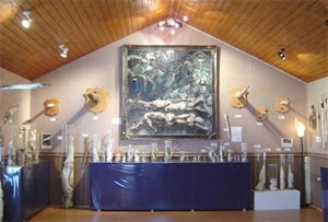 Những bảo tàng kỳ quặc nhất thế giới - 8