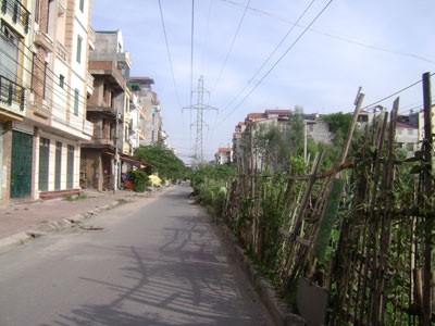 “Sáng kiến” trồng rau trên... dải phân cách - 4