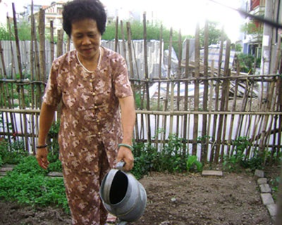 “Sáng kiến” trồng rau trên... dải phân cách - 8