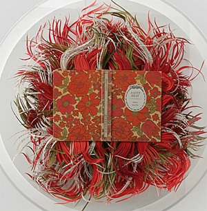 Cuộc sống muôn màu trên từng trang giấy - 11