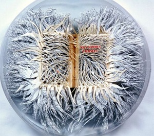 Cuộc sống muôn màu trên từng trang giấy - 9