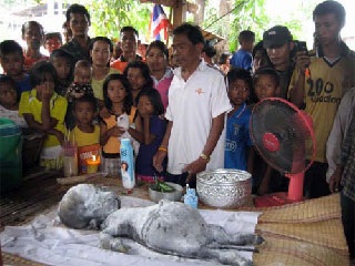 Chùm ảnh: Bò sinh ra bê giống hình người - 1