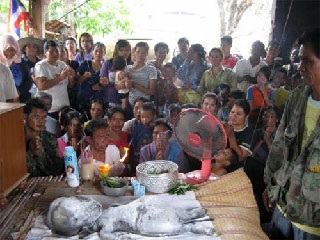 Chùm ảnh: Bò sinh ra bê giống hình người - 3