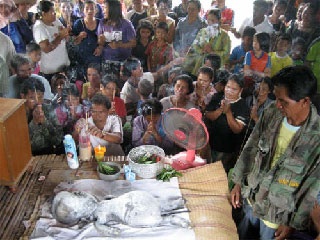 Chùm ảnh: Bò sinh ra bê giống hình người - 4