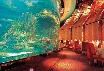 Chùm ảnh: Thăm quan khách sạn 7 sao - 2