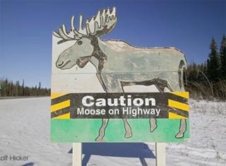 Những biển giao thông kì quặc  - 16