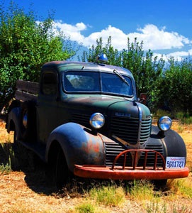 Màu thời gian - 6