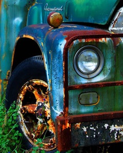 Màu thời gian - 8