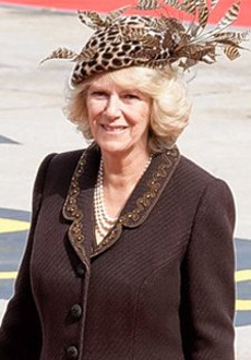 Những chiếc mũ ấn tượng của Philip Treacy - 5