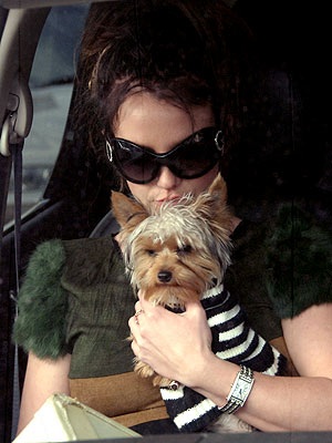 Donald Trump: “Britney cần sự giúp đỡ” - 1 Donald Trump: “Britney cần sự giúp đỡ” - 1