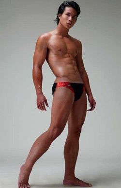 Việt Nam tham dự Manhunt International 2007 - 1