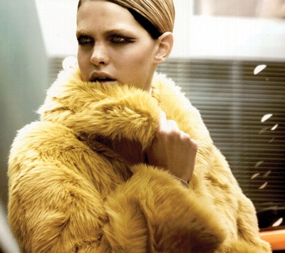 Ba chùm ảnh đẹp của siêu mẫu Erin Heatherton - 3