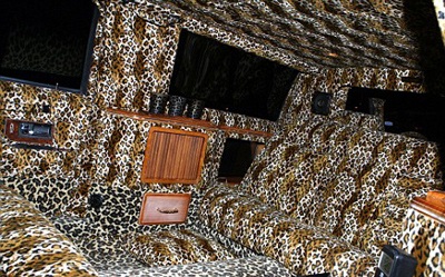 Mel B “chơi ngông” bằng xe họa tiết da báo - 4